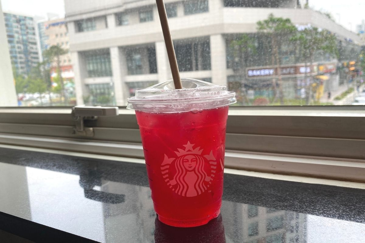 韩国Starbucks饮品 