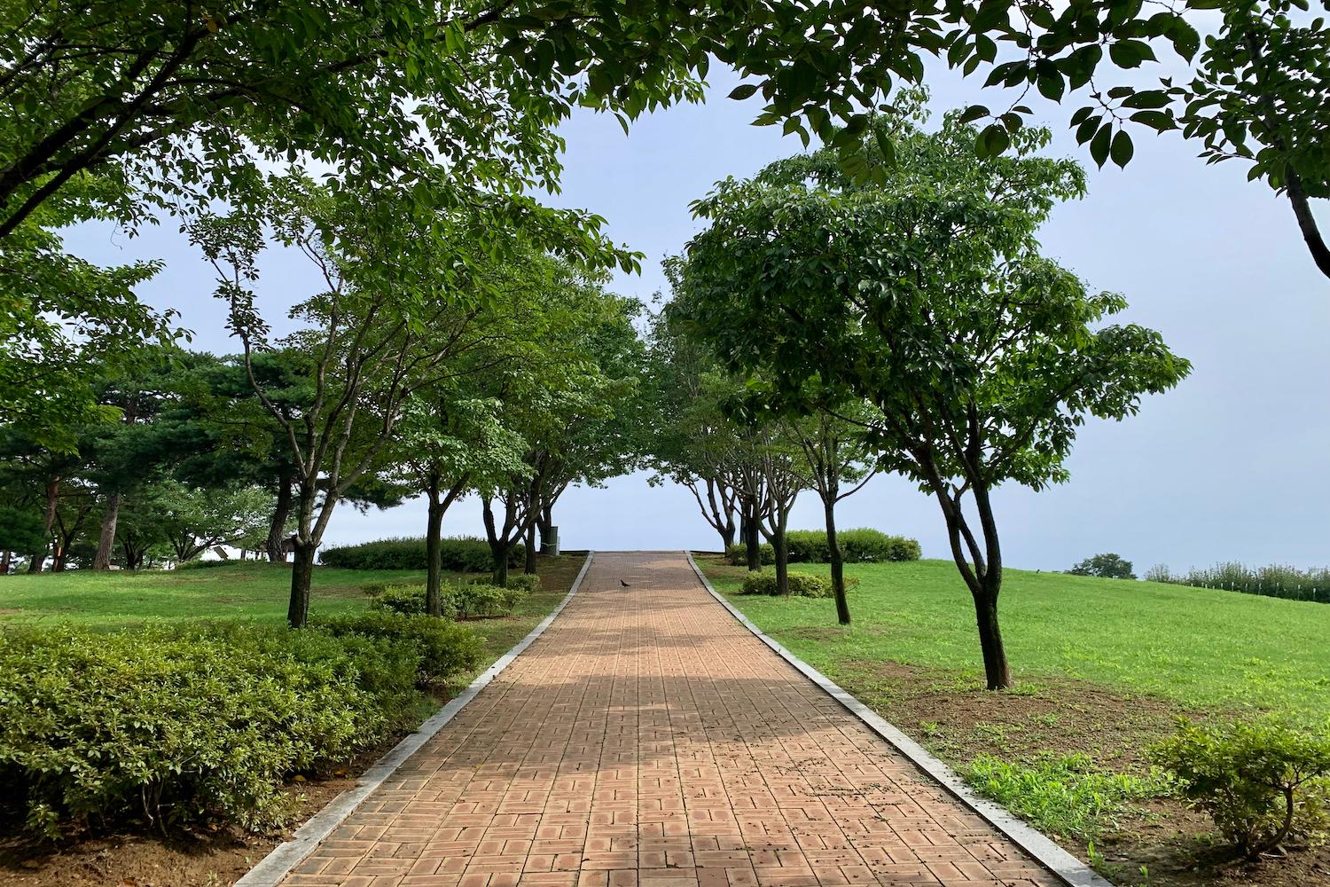 Walking trail at sunrise park