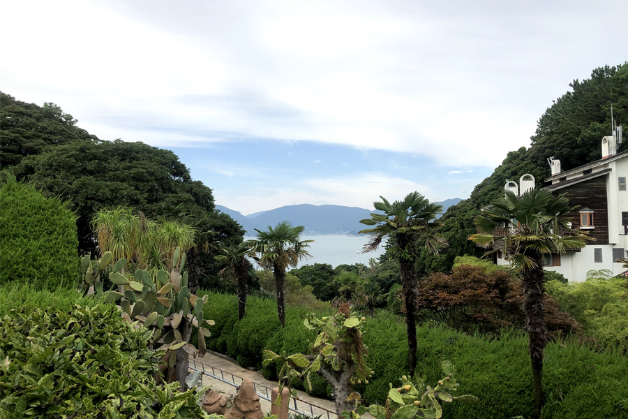 khung cảnh xanh mát ở vườn sinh thái Oedo-Botania ở Geoje