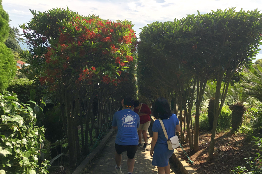 Red flowering tree in Oedo Botania