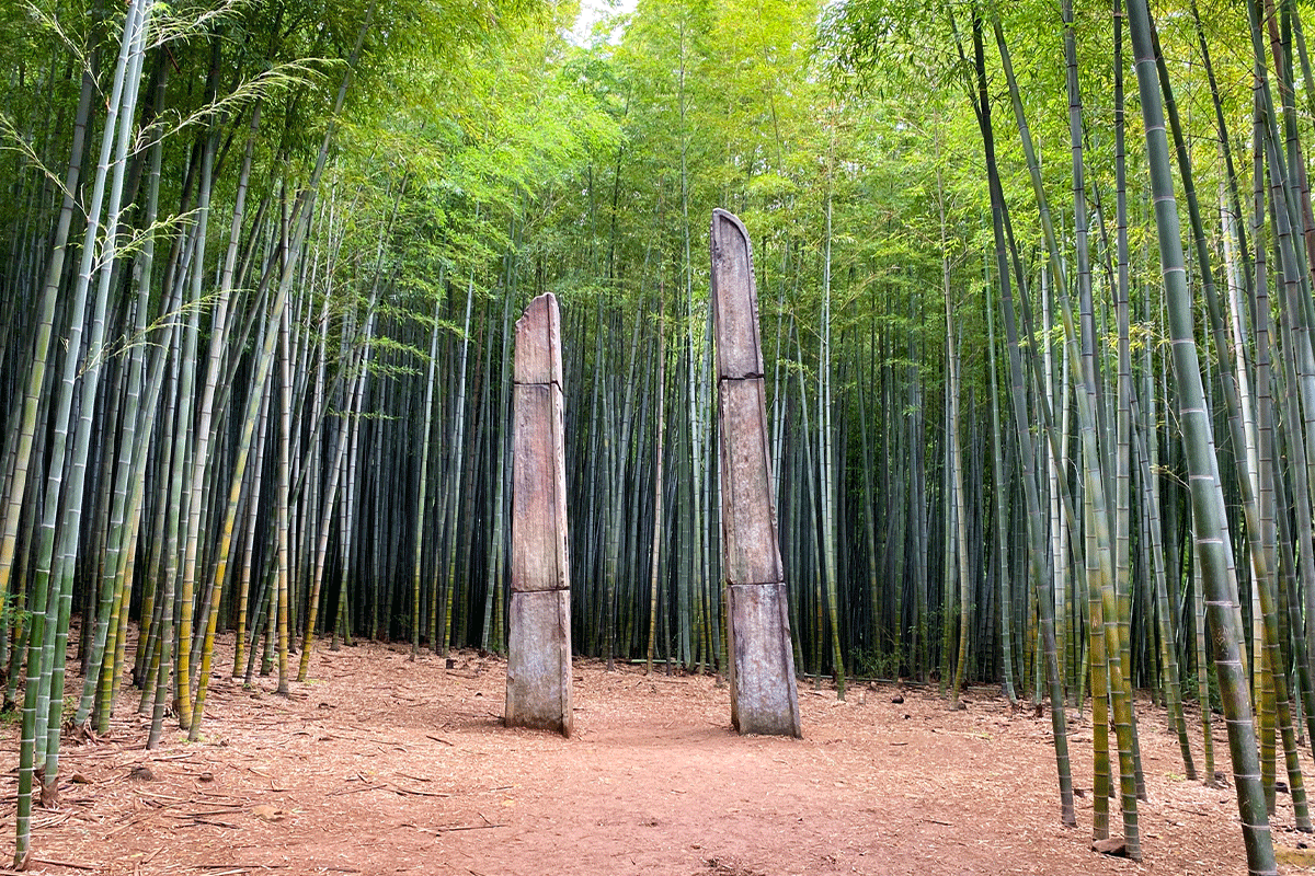 korean drama the king eternal monarch filming location, ahopsan bamboo forest, busan
