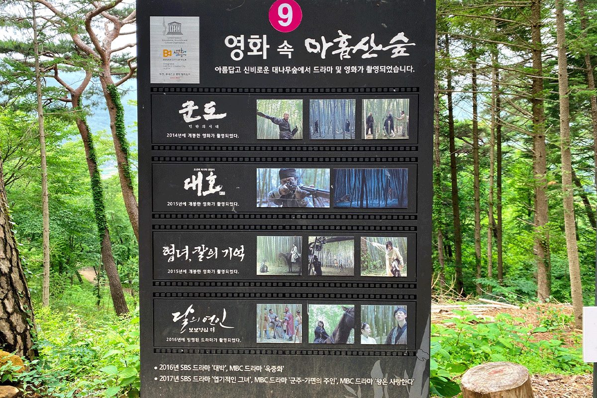 busan korea ahopsan bamboo forest, drama and movie filming location