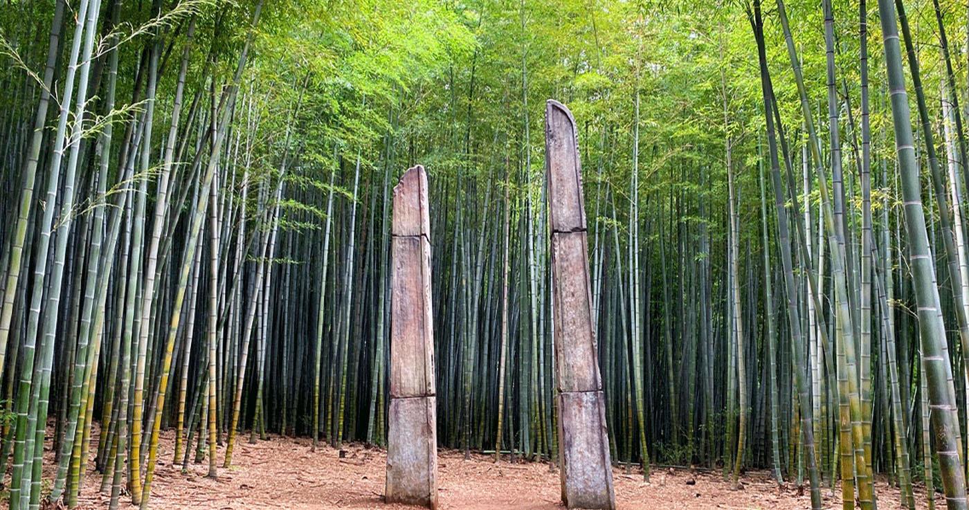 ロケ地によく使われる釜山「アホッ山の森」