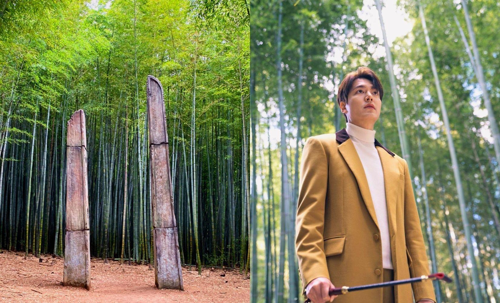 Busan Ahopsan Forest | Bamboo Forest Used As A Filming Location For Korean Movies & Dramas