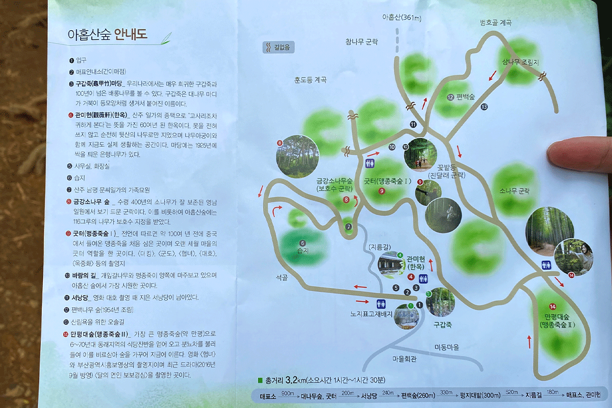 busan korea ahopsan bamboo forest map