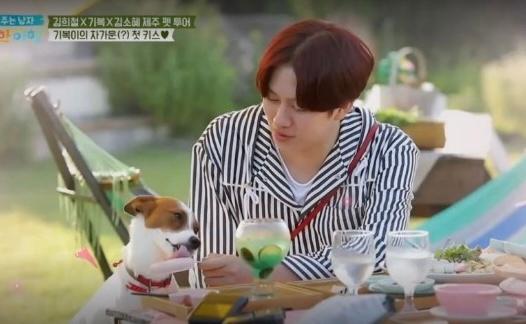 ｢捨て犬は絶対勧めない｣論難のキム·ヒチョル、彼の理由ある釈明