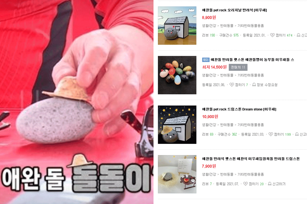 在網路上販售的寵物石產品展示，因韓國綜藝節目《我家的熊孩子》介紹而人氣飆升。