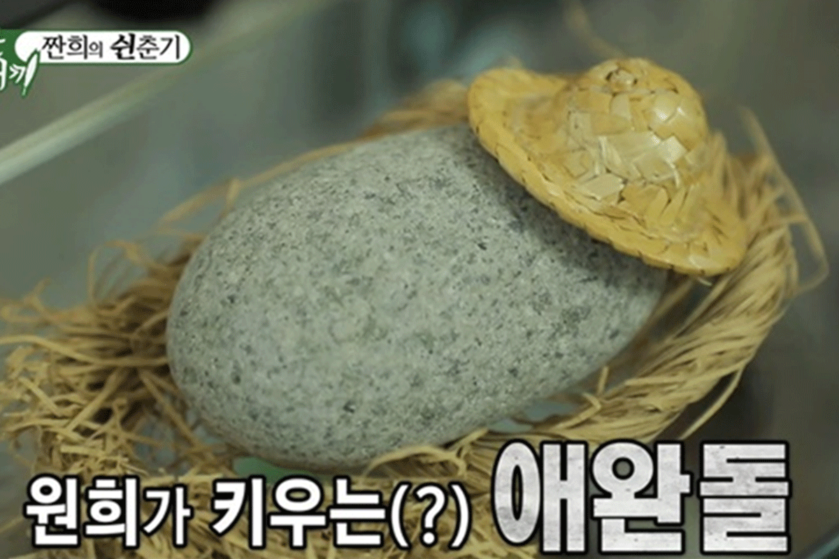 My Little Old Boy Pet Stone