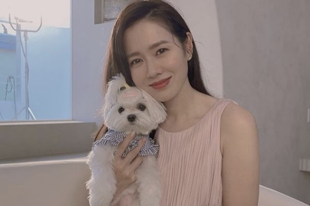 韓國女明星抱著白色可愛小狗，身穿粉色無袖連衣裙，面部模糊，背景室內環境