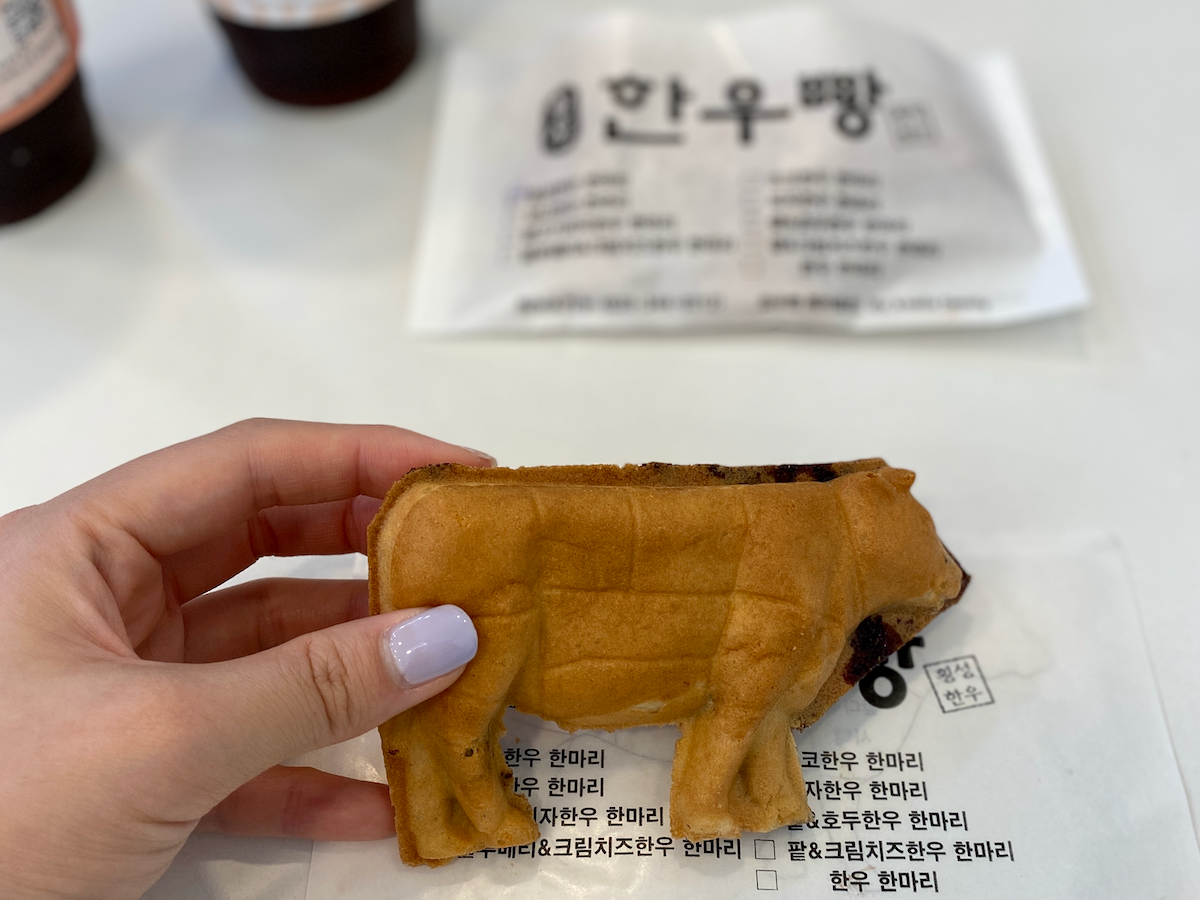 hanwoo bread in Hoengseong, Gangwondo