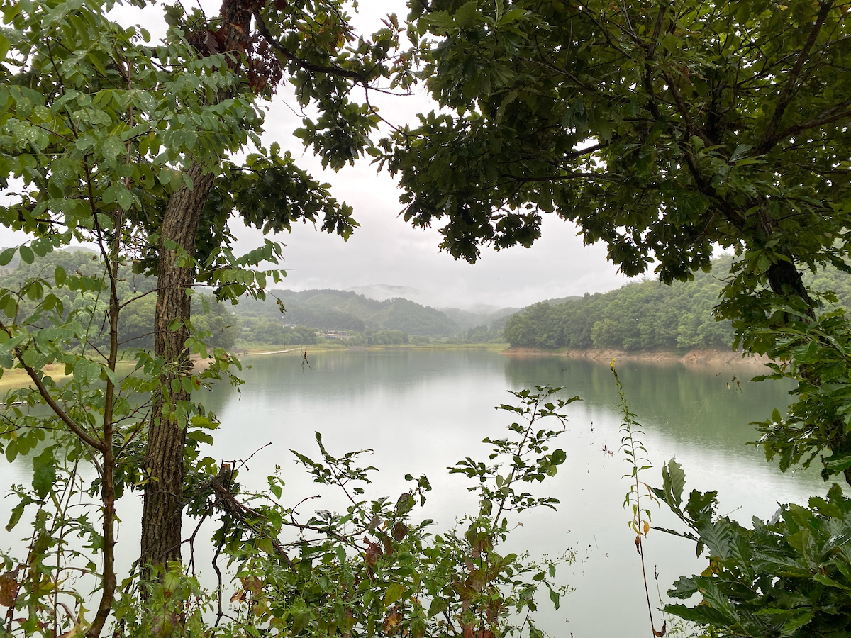Hoengseong Lake on a gloomy day surrounded by trees