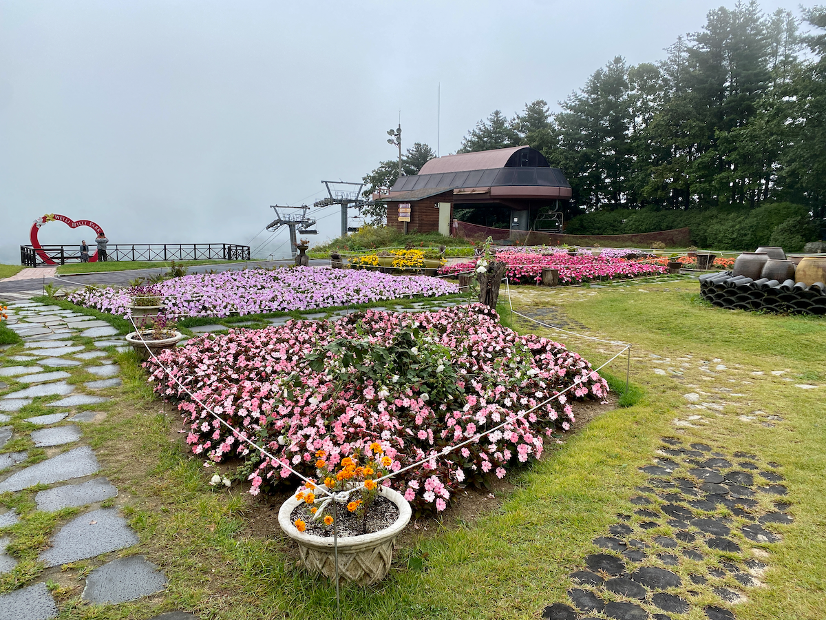 Flower garden at the top of the hill in Welli Hilli Park