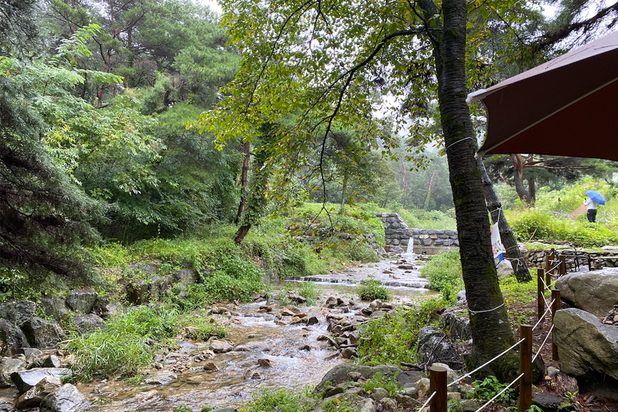 橫城 推薦 咖啡廳