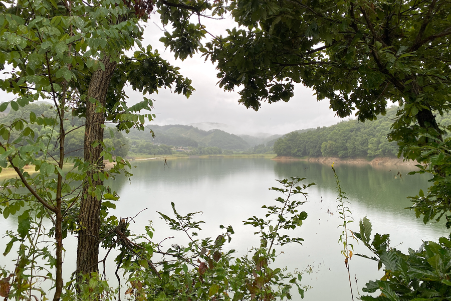 韓國橫城推薦美食