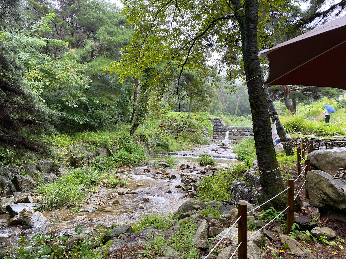 The streams behind Cafe Lake Road 133 in Hoengseong