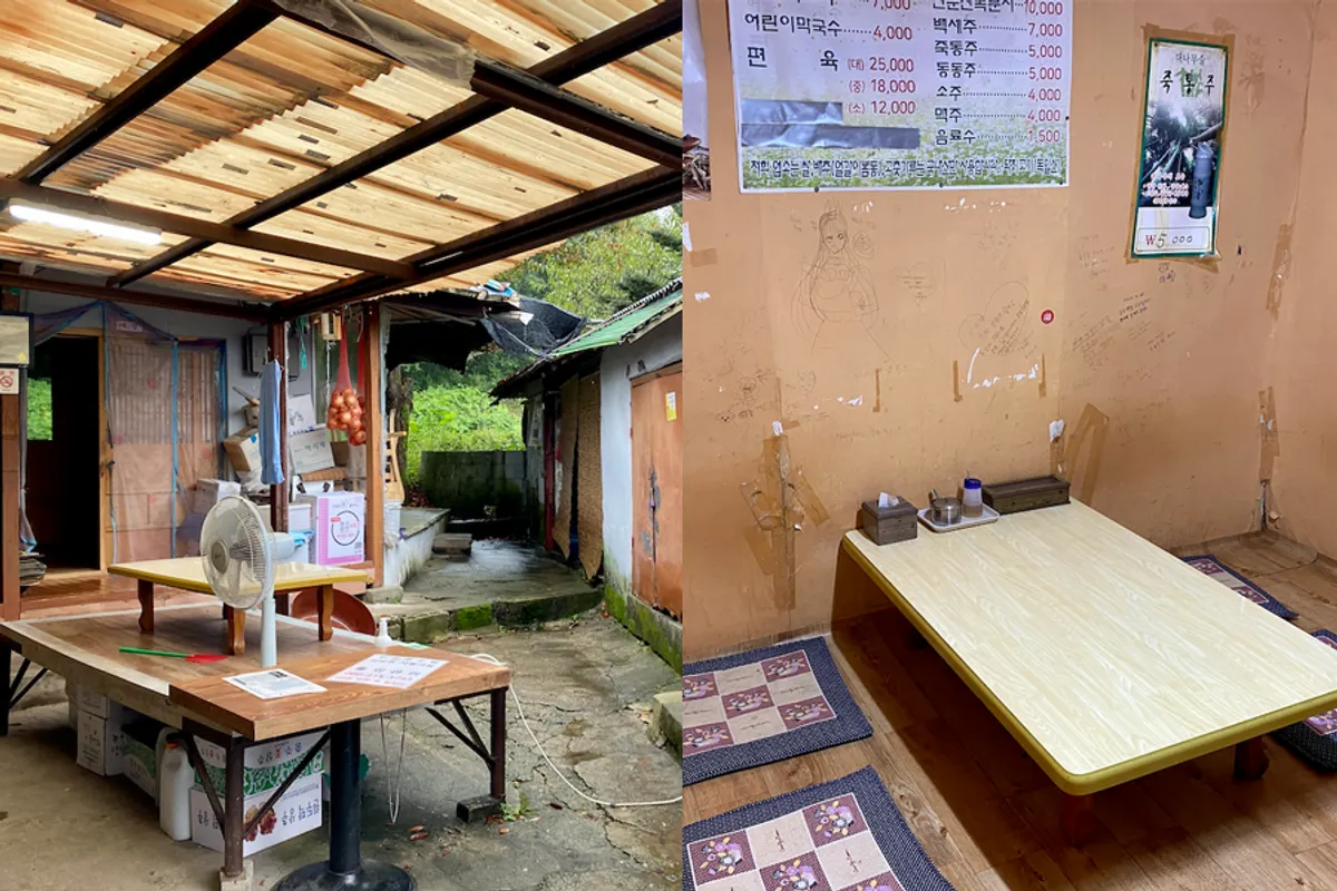 江原道 食物 餐廳