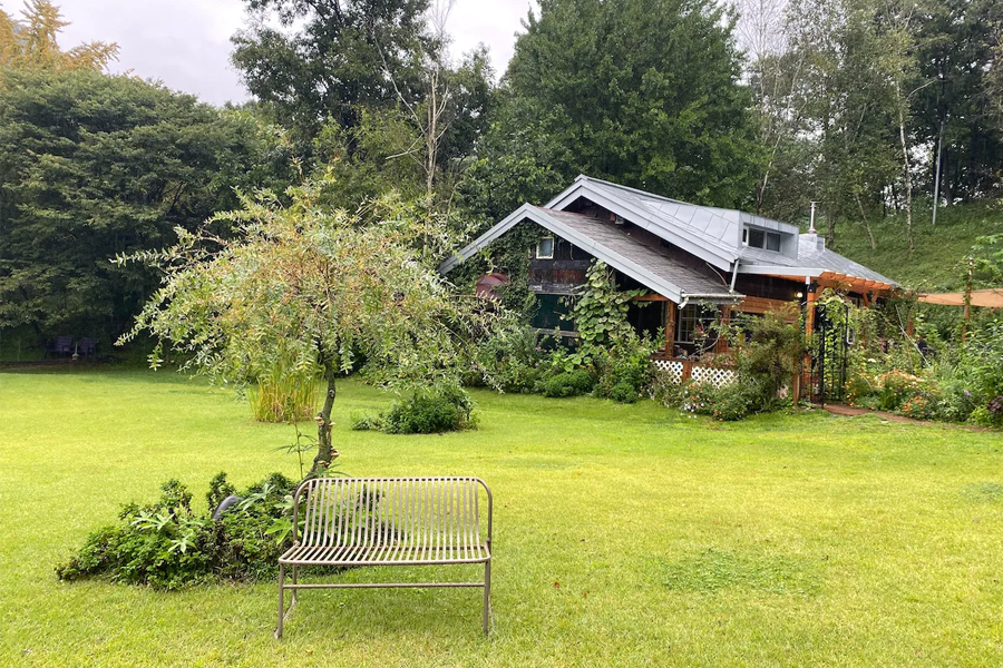 韓劇《Forest》拍攝地點: 橫城美術館白樺林草地上的椅子，大自然的寧靜氛圍