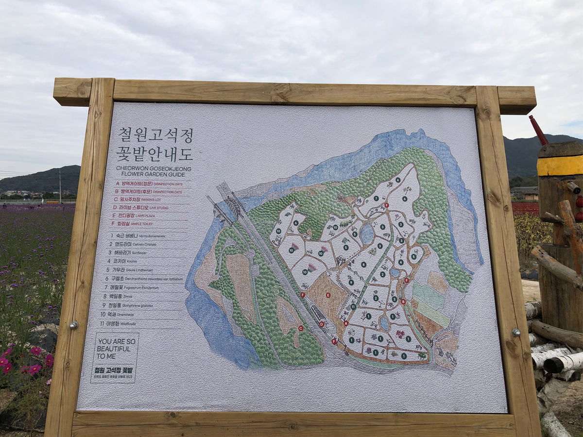 one day tour itinerary, cheorwon gangwondo korea, goseokjeong flower field