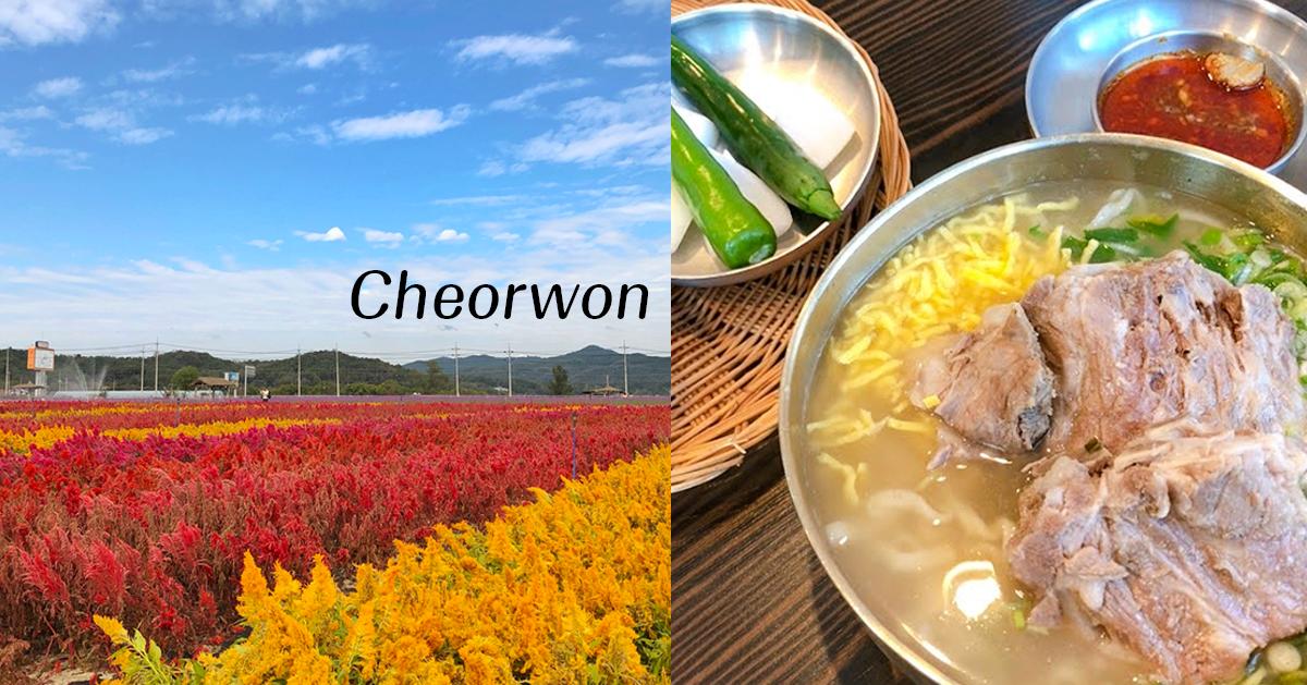 2023鐵原旅遊懶人包