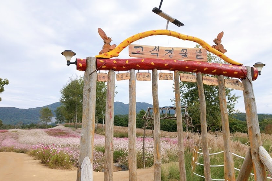 江原道鐵原美食