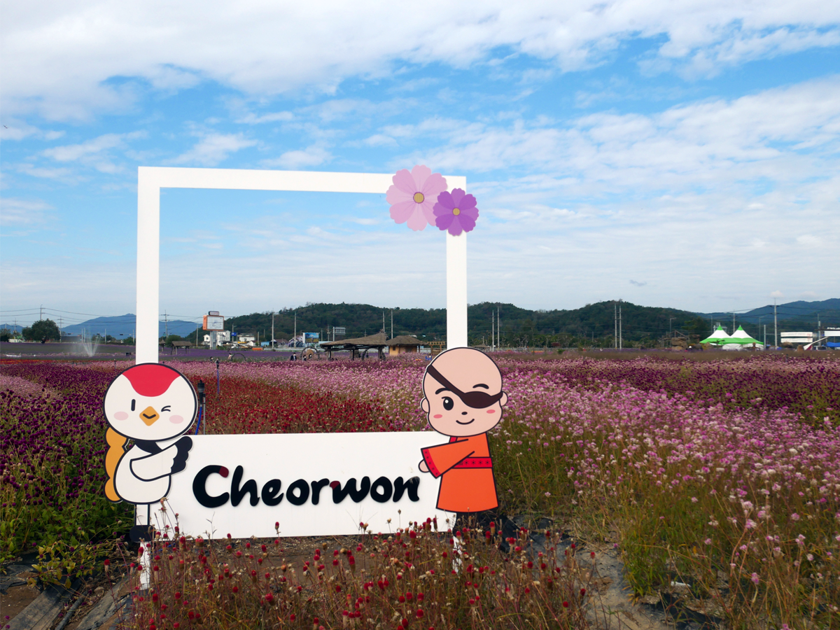 one day tour itinerary, cheorwon gangwondo korea, goseokjeong flower field