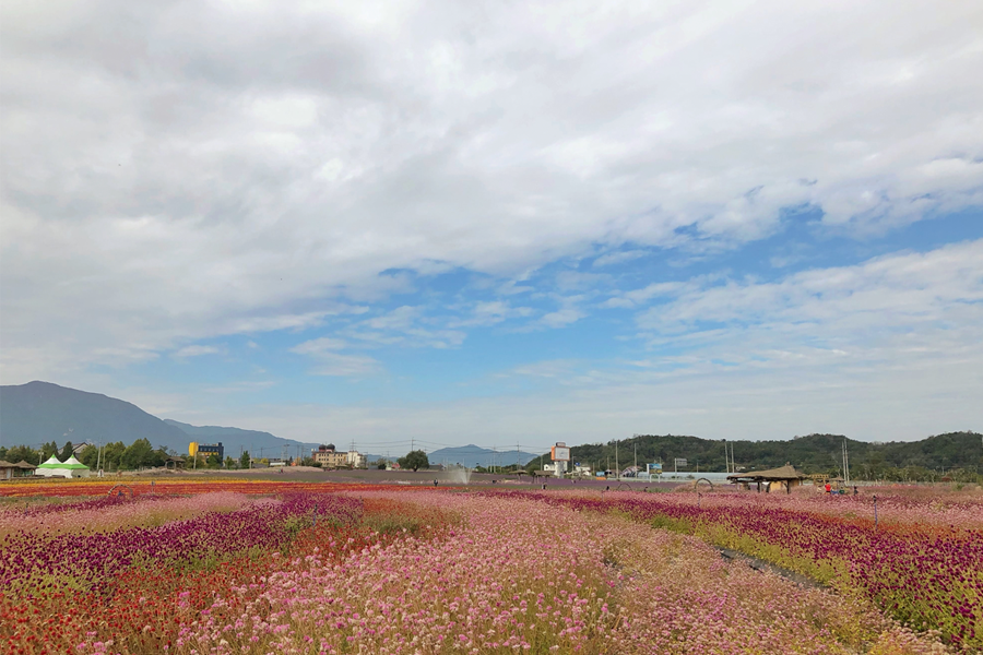鐵原 推薦 美食