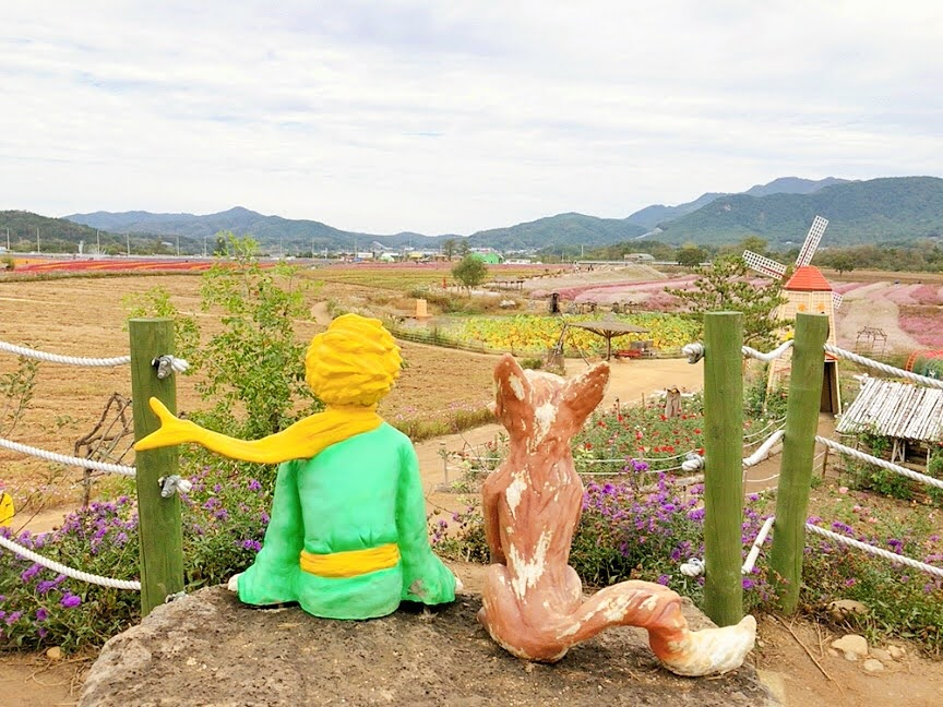 韓国、韓国旅行、韓国観光、韓国地方、江原道、鉄原、チョルウォン、人生ショット、映え、韓国カフェ
