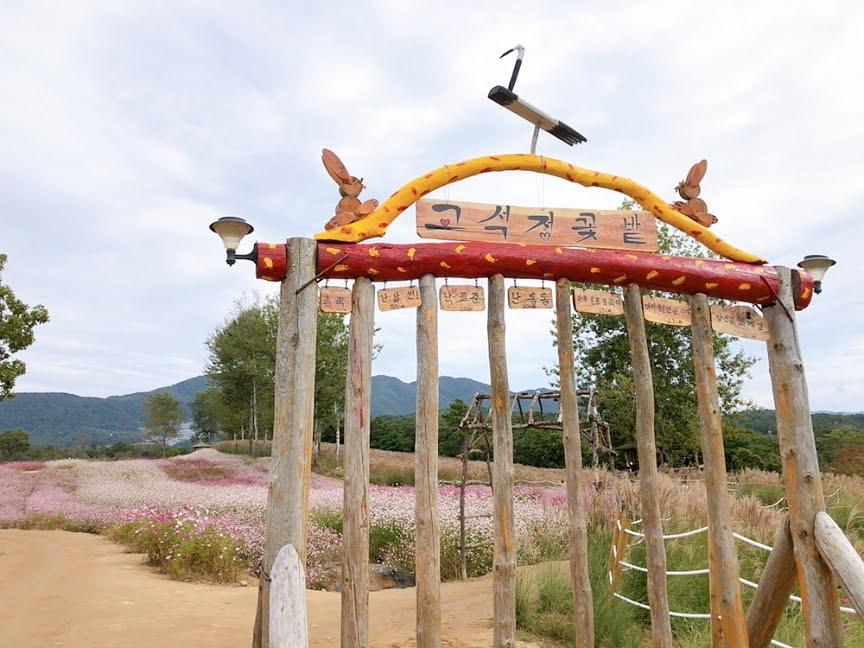 one day tour itinerary, cheorwon gangwondo korea, goseokjeong flower field