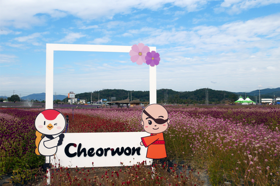 韓國 鐵原 推薦 韓國