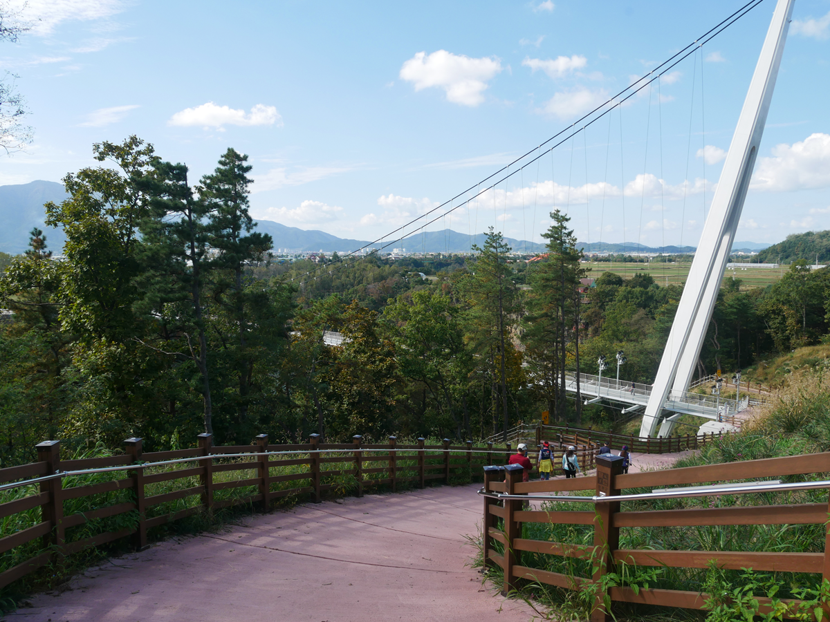 one day tour itinerary, cheorwon gangwondo korea, hantan river milky way bridge path