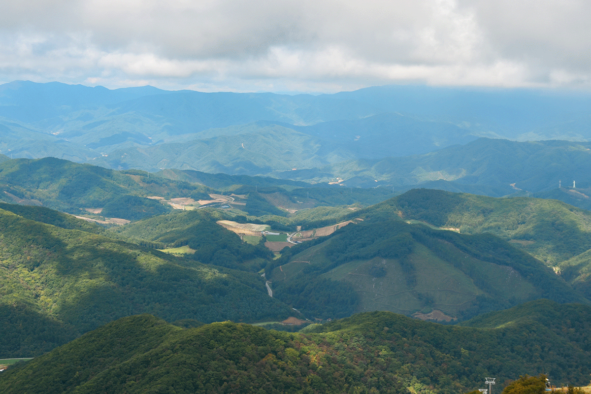 韓国、韓国旅行、韓国観光、江原道、カンウォンド、アクティビティ、異色旅行、リュージュ、博物館、民俗村、江陵、カンルン