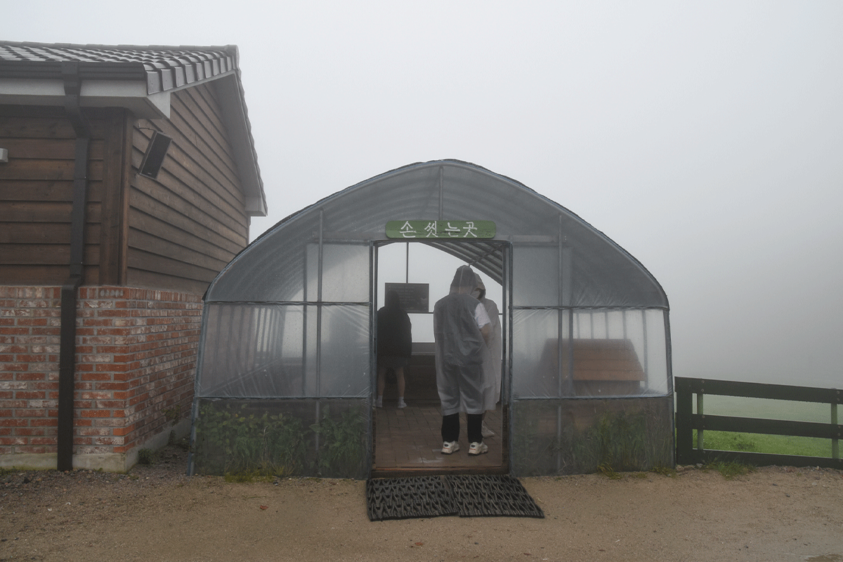 韓国、韓国旅行、韓国観光、江原道、カンウォンド、アクティビティ、異色旅行、リュージュ、博物館、民俗村、江陵、カンルン