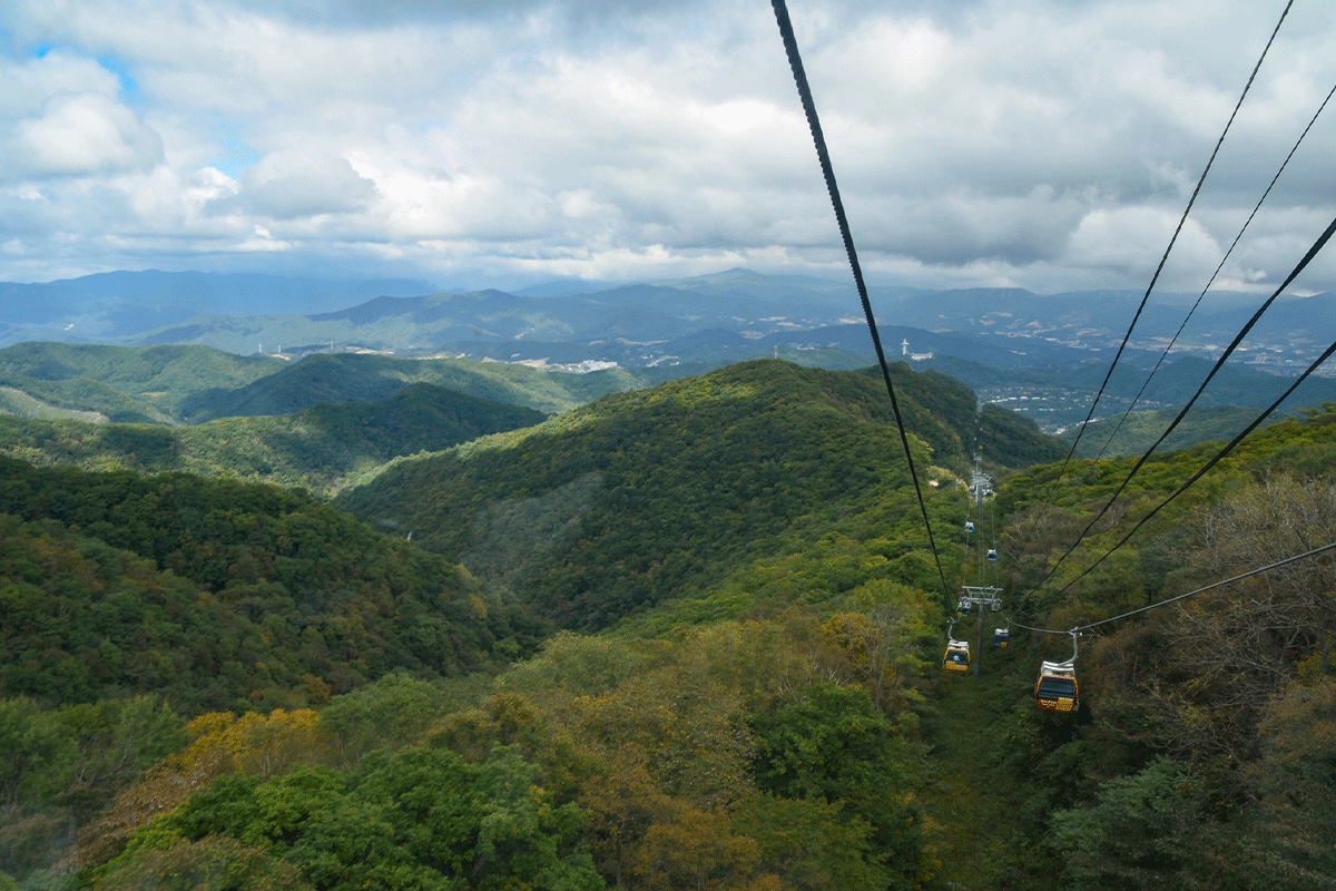 韓国、韓国旅行、韓国観光、江原道、カンウォンド、アクティビティ、異色旅行、リュージュ、博物館、民俗村、江陵、カンルン