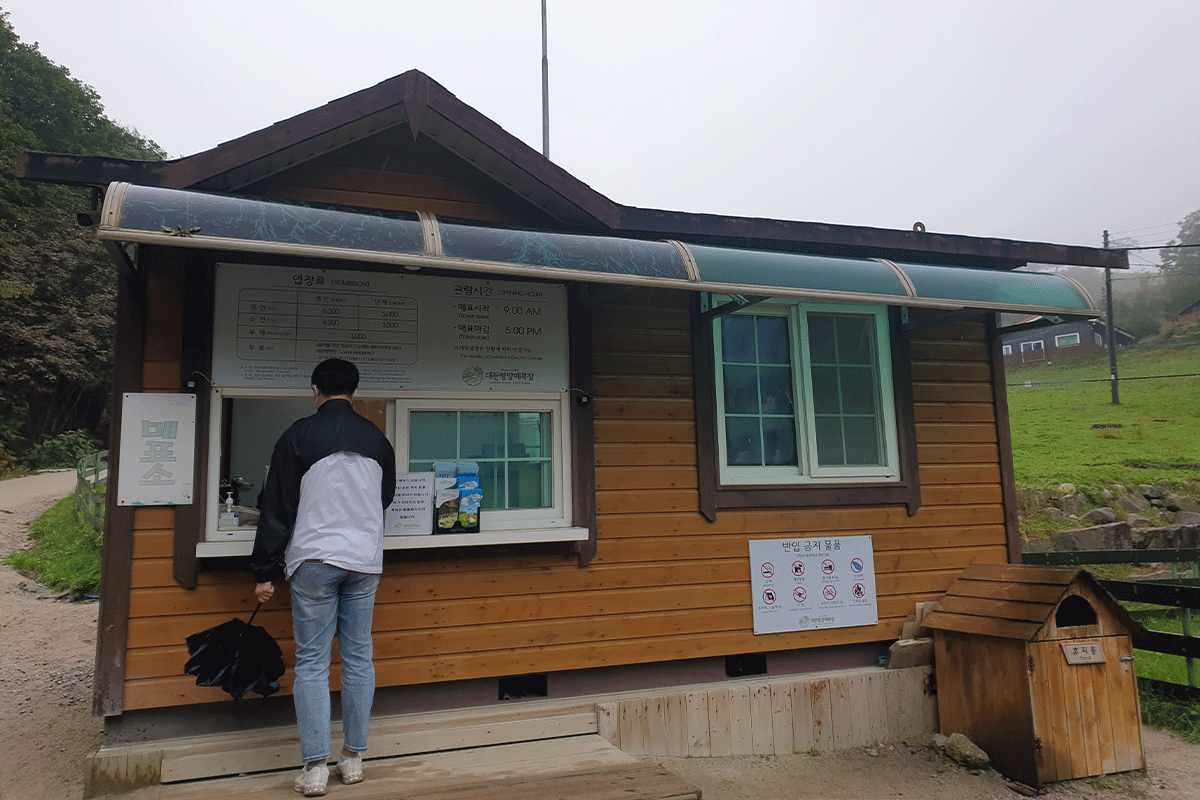 韓国、韓国旅行、韓国観光、江原道、カンウォンド、アクティビティ、異色旅行、リュージュ、博物館、民俗村、江陵、カンルン