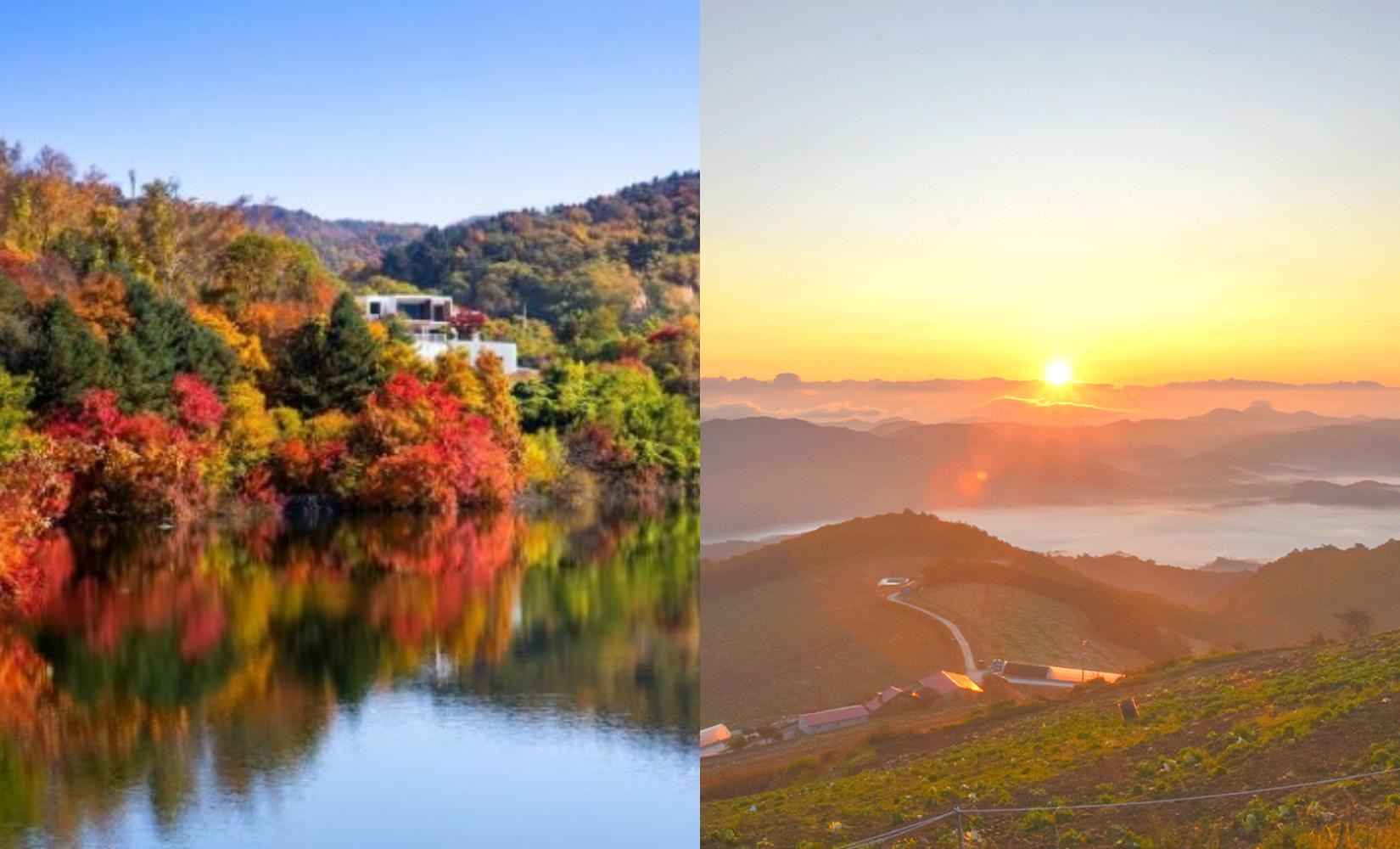 Locals' Guide To The Best Gangwondo Fall Foliage Spots