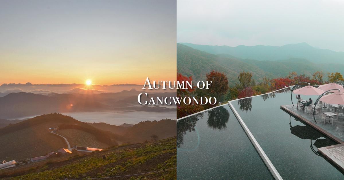 แนะนำสถานที่ชมใบไม้เปลี่ยนสีในคังวอนโด