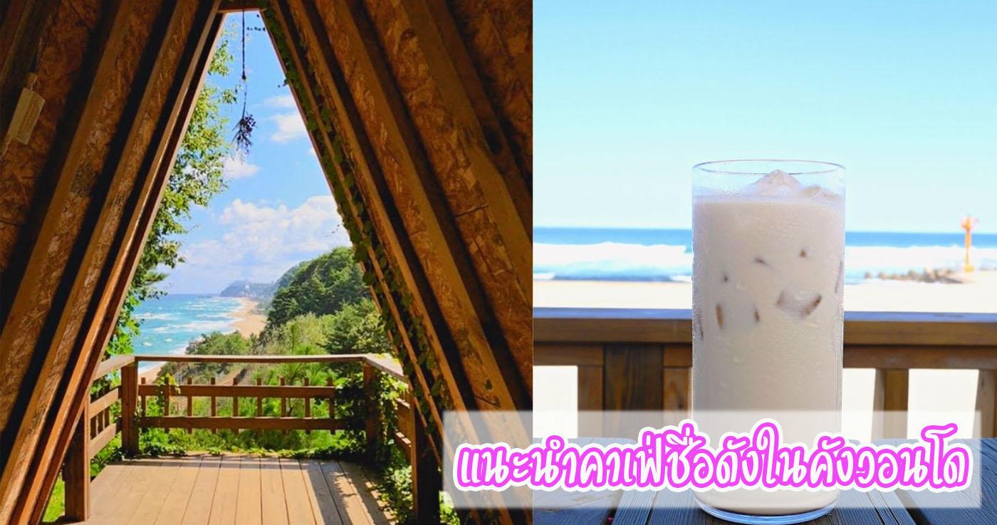 แนะนำคาเฟ่ชื่อดังในคังวอนโด