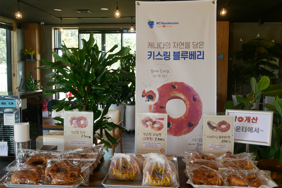 Famous Gangwondo Cafes: Eunhasu