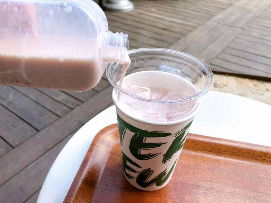 Famous Gangwondo Cafes: Gangneung Stay Interview