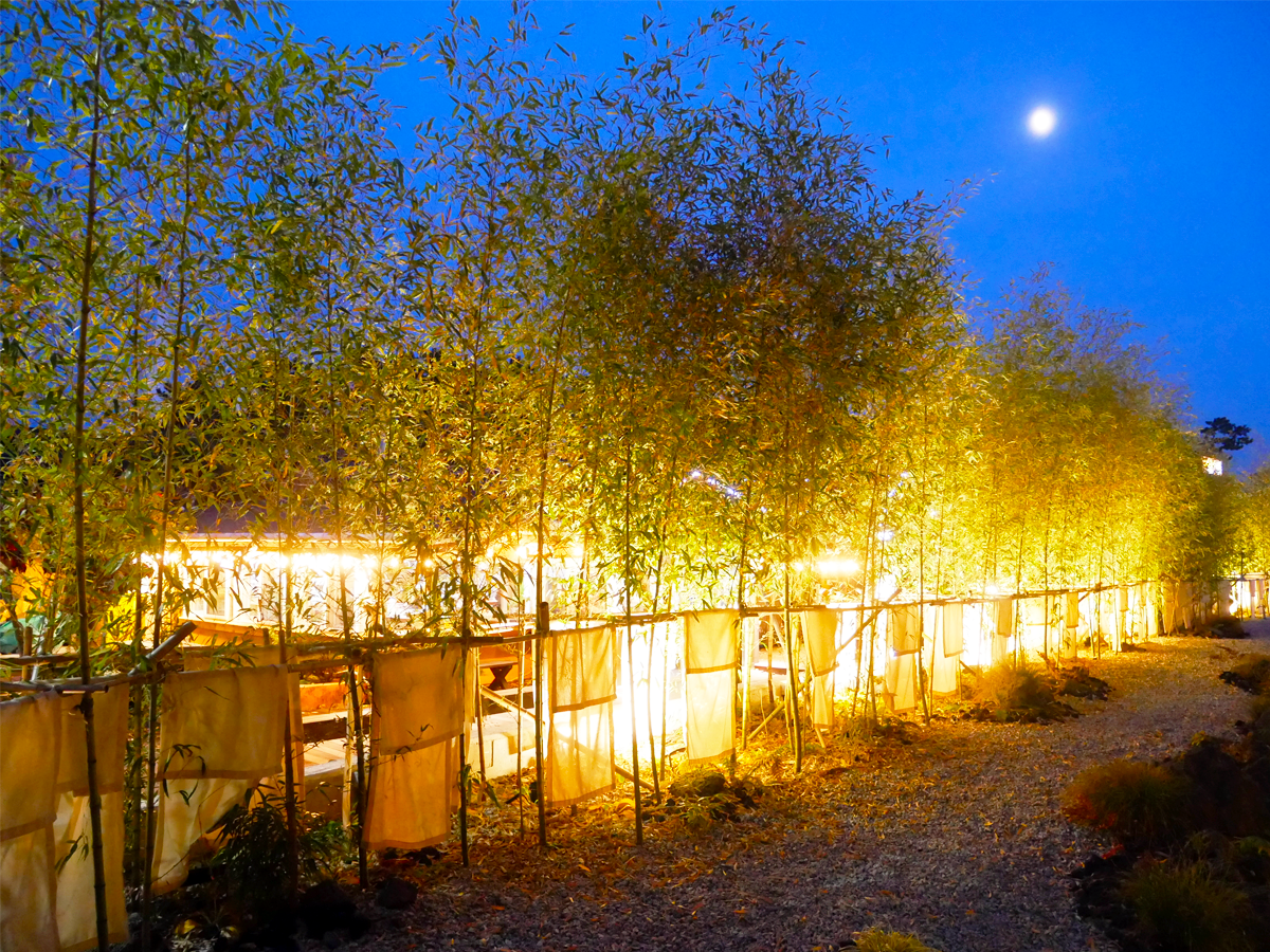 Famous Gangwondo Cafes: Cafe Toemaru