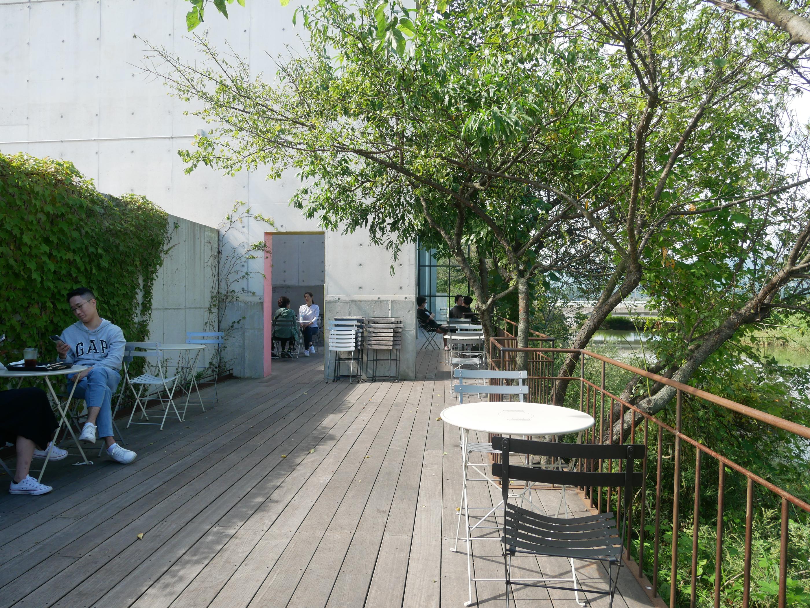 Famous Gangwondo Cafes: Terarosa Coffee Gyeongpo Lake Branch