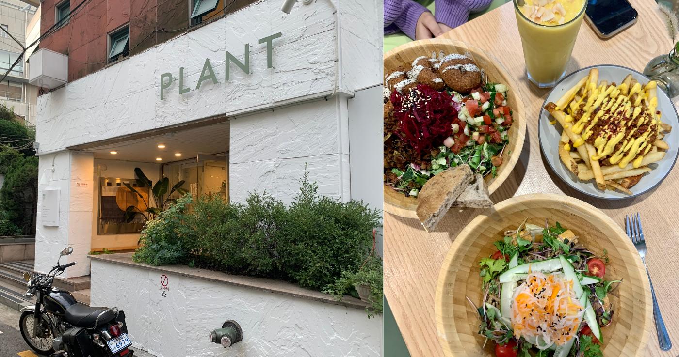 Plant Hongdae | Delicious Vegan Restaurant In Seoul