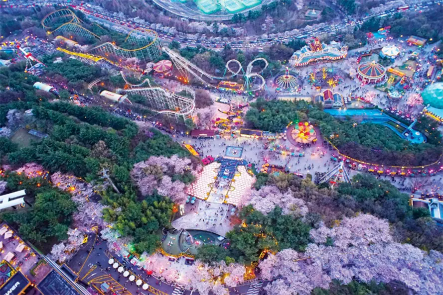 2025 韓國遊樂園 樂天世界 愛寶樂園