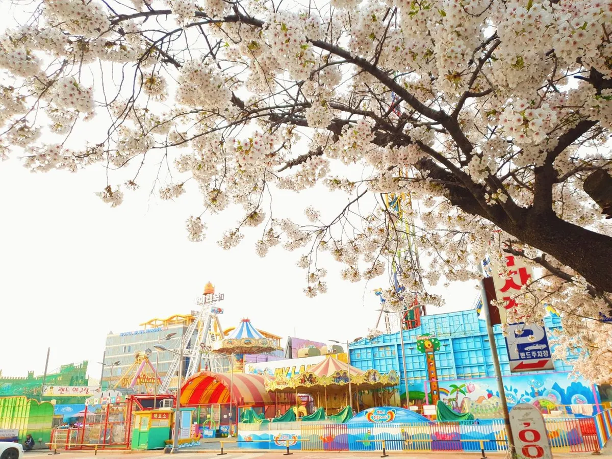 韓国、韓国旅行、韓国観光、ソウル、江原道、春川、蚕室、ロッテワールド、エバーランド、レゴランド、釜山ロッテワールド、E-World、ソウルランド、韓国遊園地、韓国地方旅行、慶州ワールド、月尾テーマパーク、月尾島、仁川