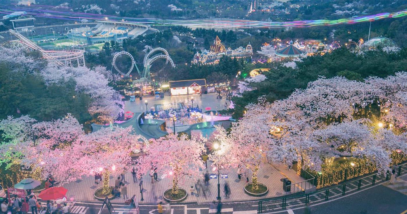 แนะนำสวนสนุกที่ห้ามพลาดในเกาหลี