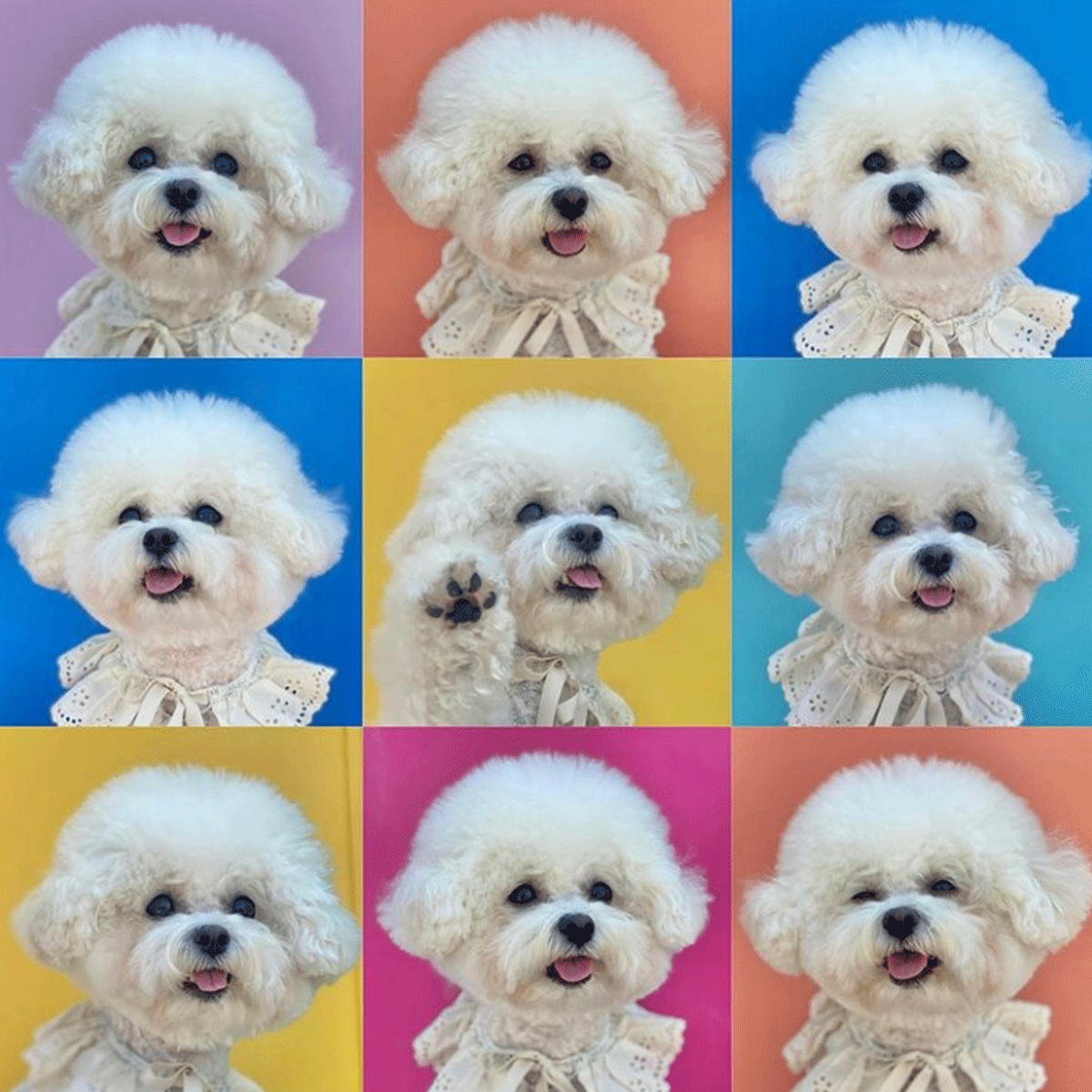 travel korea rainbow photo spot, busan jangnim port, janglim harbor