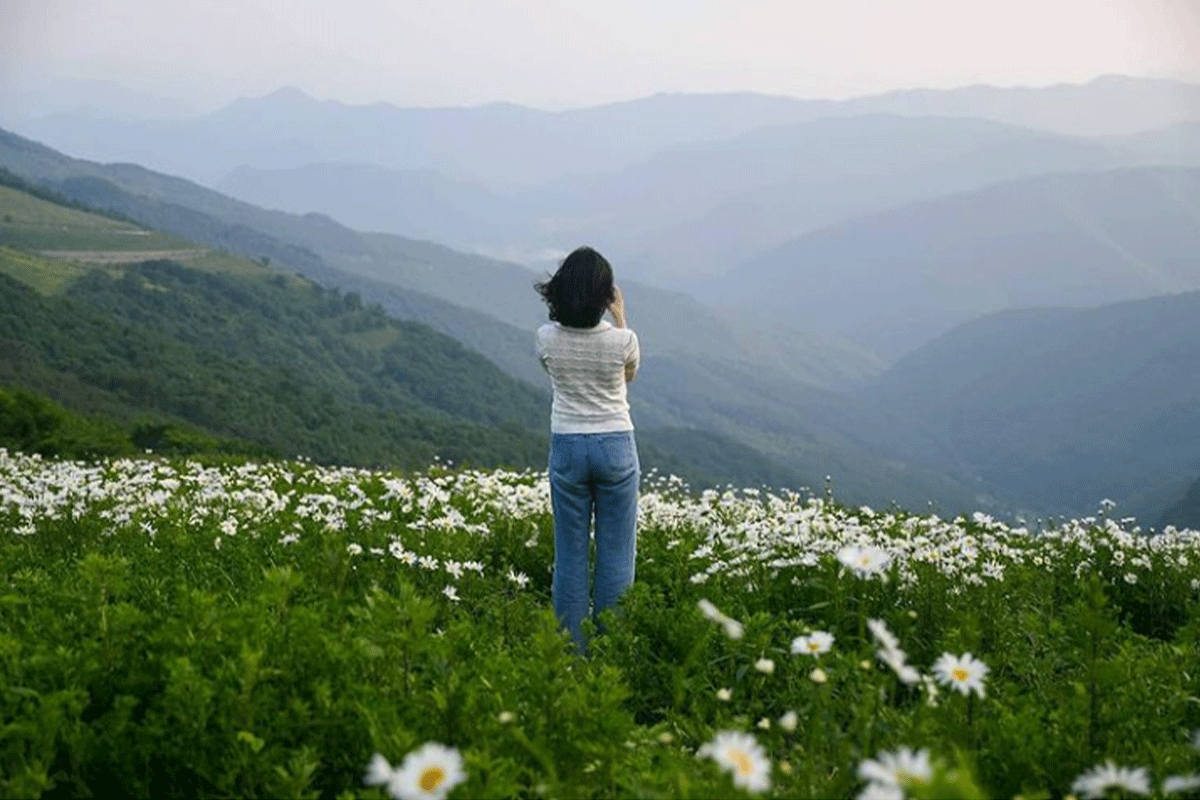 Creatrip: Explore Korea | A Guide To The Best Rainbow Photo Locations ...