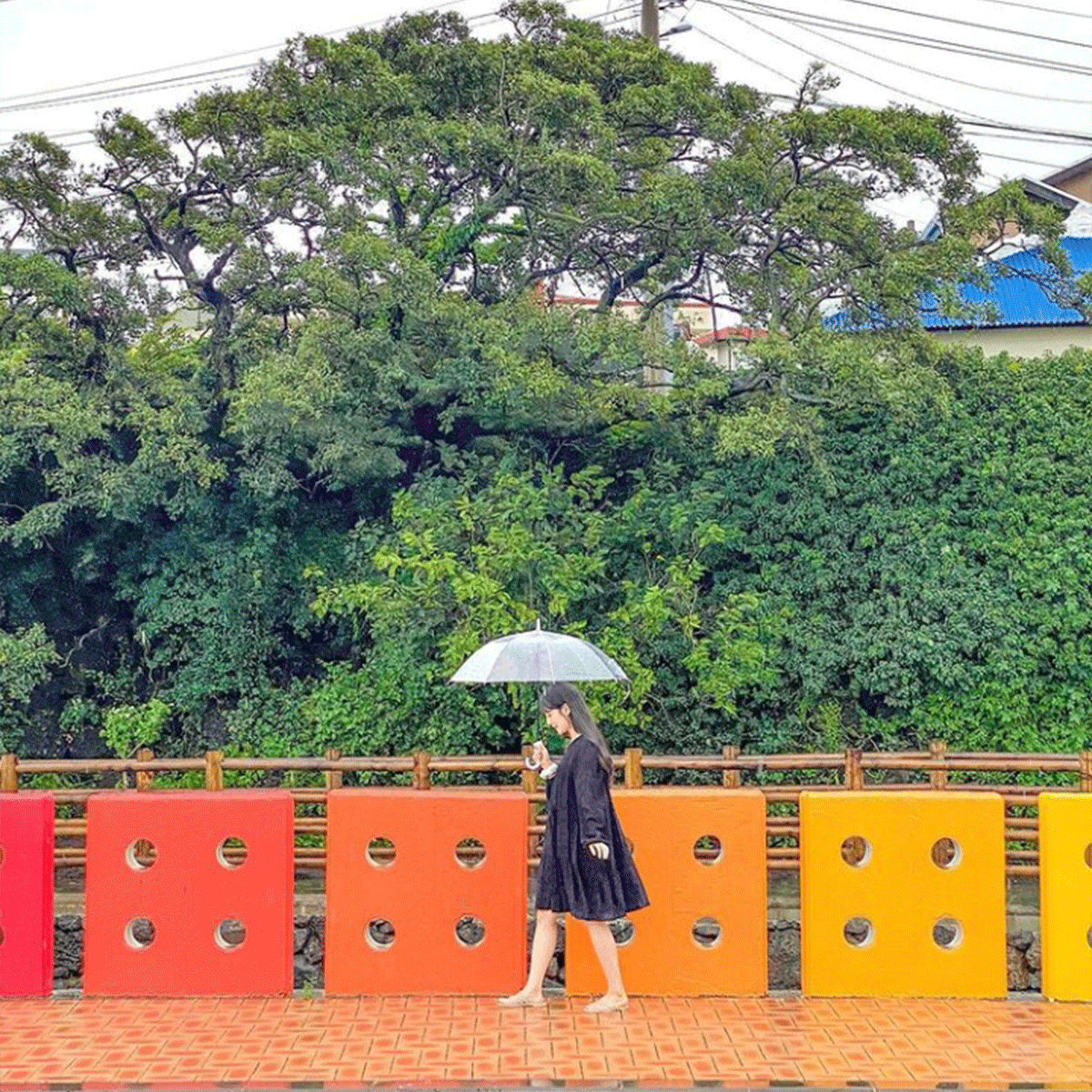 jeju sinheungri saemulkkak rainbow road, travel korea, photo spot