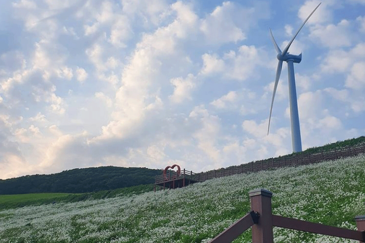 travel korea rainbow color photo spot, cheongoksan mountain pyeongchang gangwon-do wind turbine
