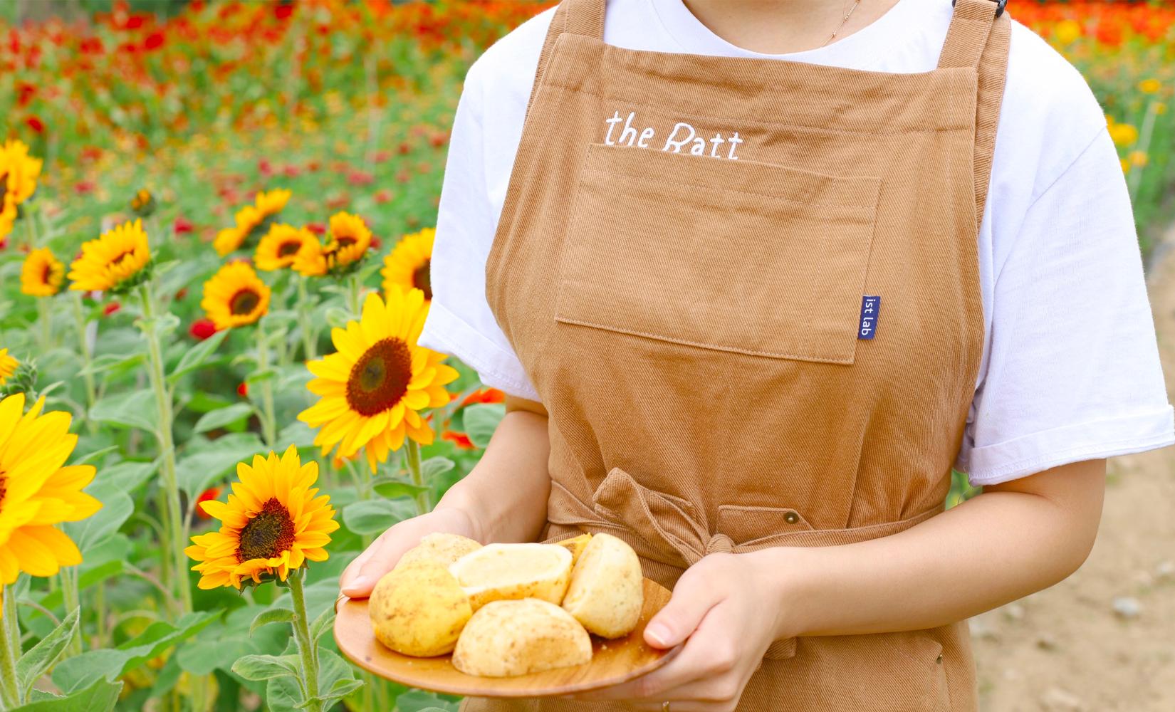 Cafe Gamjabat: Cafe sân vườn với bánh khoai tây đặc sản ở Chuncheon